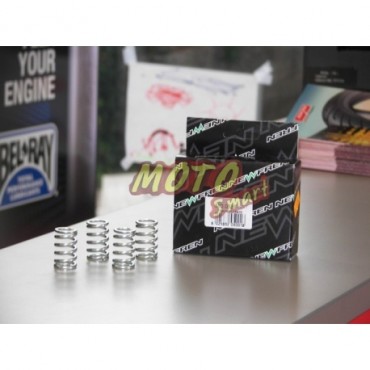 ΕΛΑΤΗΡΙΑ ΣΥΜΠΛΕΚΤΗ ASTREA GRAND NEWFREN