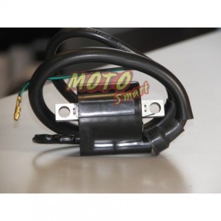 ΠΟΛΛΑΠΛΑΣΙΑΣΤΗΣ YAMAHA CRYPTON ROC