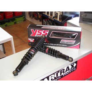 ΑΜΟΡΤΙΣΕΡ YSS ASTREA GRAND 33cm ΠΙΣΩ