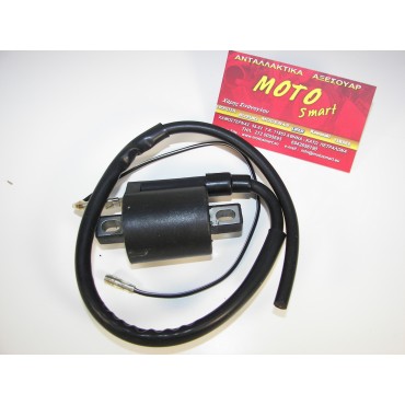 ΠΟΛΛΑΠΛΑΣΙΑΣΤΗΣ INNOVA 125 INJECTION OEM